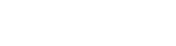 Logo de YBY